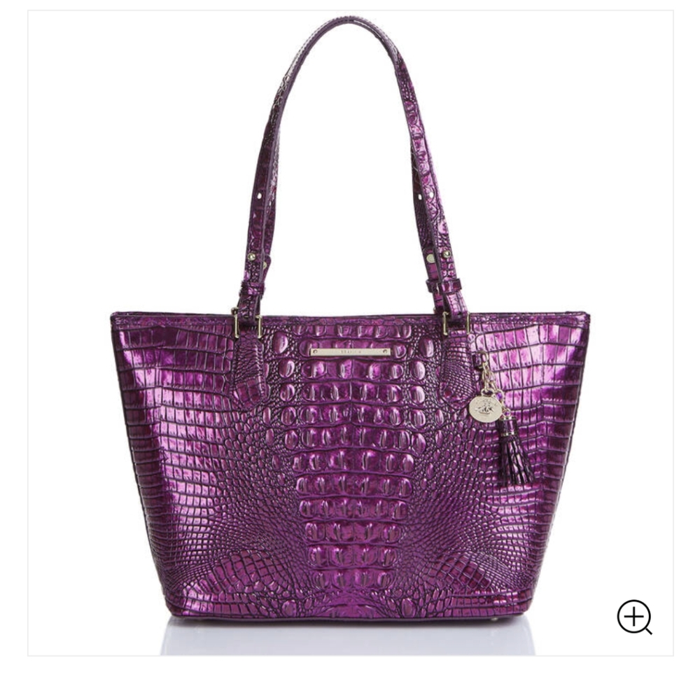 Purple Potion Asher Brahmin